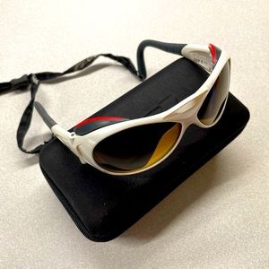 Julbo Explorer Glacier Glasses